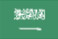 沙特10T羊饲料颗粒生产线